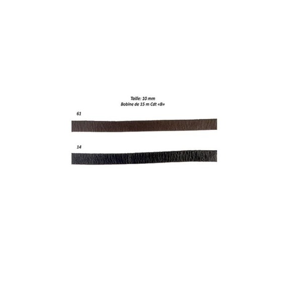 The Unbranded Brand Other - Stephanoise Ribbon 07679 Real Leather Trim, 10mm,  15 MTS Brown #61